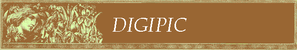 DIGIPIC
